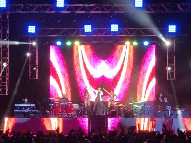 Pitbull